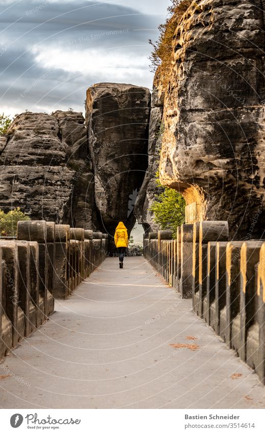 Fantastic morning on the Bastei in the Elbe Sandstone Mountains Panorama (View) Elbsandstone mountains Rock Landscape Hiking Nature rathen hillock Forest tree