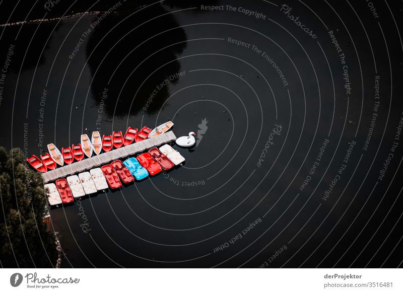 Empty boats and a swan Copy Space middle Copy Space top Shadow Light Day Copy Space right Deserted Aerial photograph Subdued colour Colour photo Bavarian Munich