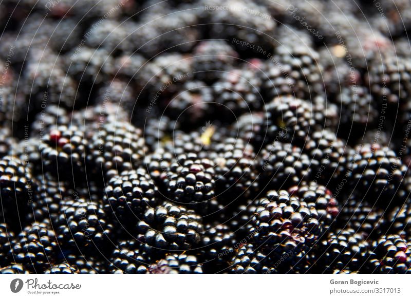 Ripe juicy wild fruit raw blackberries lying on the table blackberry ripe background food healthy macro closeup fresh group freshness delicious vegetarian