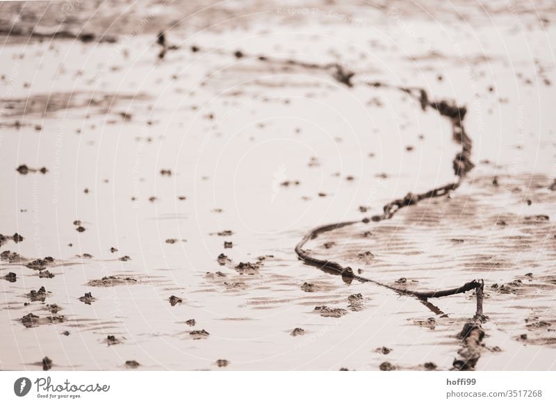 Steel cable in the mudflats Sludgy Coast Mud flats Nature reserve Minimalistic minimalistic pattern Low tide sluices Environment North Sea coast Elements Wet