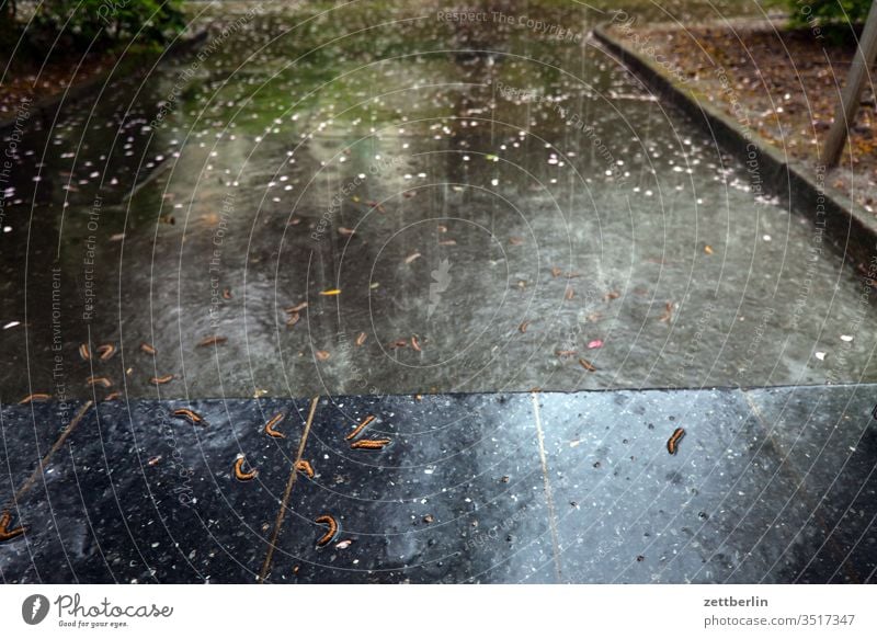 downpour Rain Puddle Rainwater Sidewalk Deserted Wet Precipitation wet raindrops summer rain Copy Space Water showers pelting