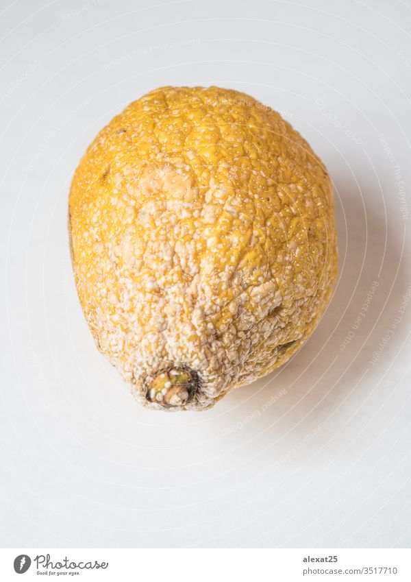 Rotten lemon on white background bad citrus closeup decay eat eco food fruit fungal fungi fungus isolated mold moldy natural perishable putrid rot rotten