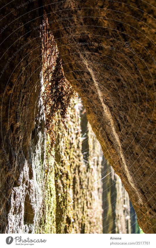 Opposites | inside - outside Cave fissure Fissure durchschlupf Narrow Canyon narrow Brown Mysterious peak Force of nature Light brown Sunlight Wolf Gorge