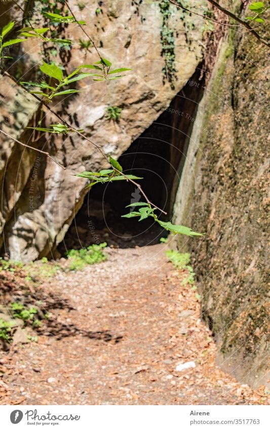 in the dark Cave fissure Fissure Entrance durchschlupf Narrow conceit Canyon narrow off obstacle Beautiful weather twigs Nature green Brown Mysterious peak