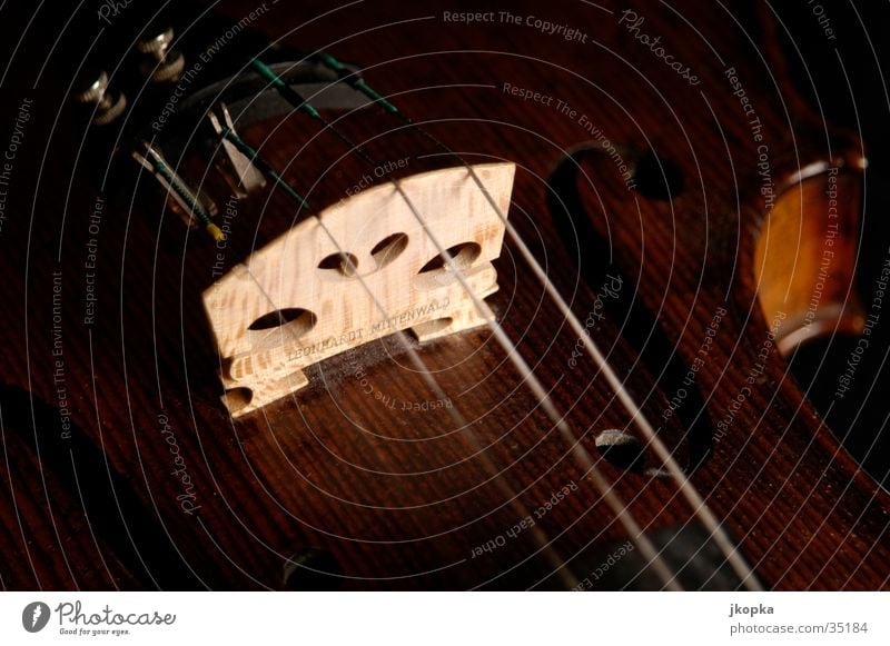 Violin detail 2 Music Concert Orchestra Musical instrument Elegant Brown Black Classical Studio shot Detail Macro (Extreme close-up) Deserted Shadow Low-key