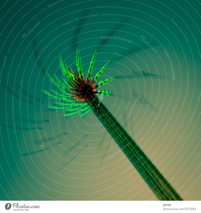 ejector seat Joy Night life Event Oktoberfest Fairs & Carnivals Sky Rotate Free Bright Round Speed Blue Yellow Green Bizarre Leisure and hobbies Kitsch