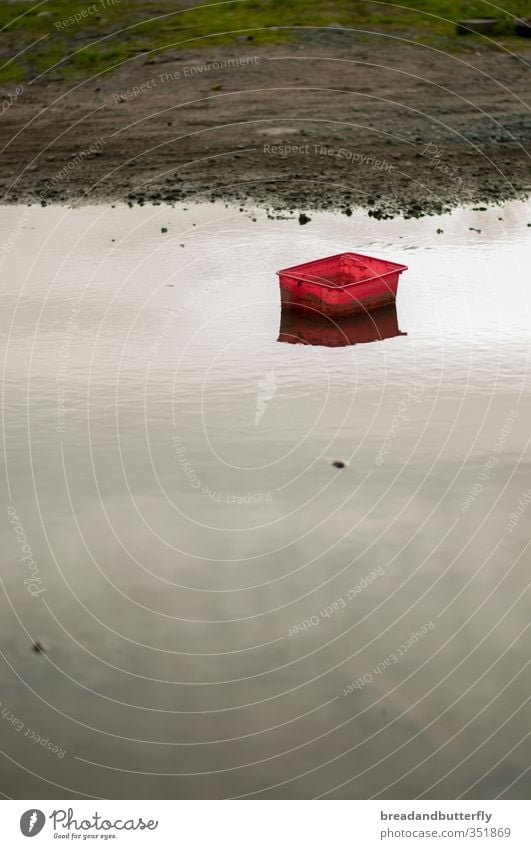 I got a bright red rubber... uh... whatever. Elements Water Bad weather Puddle Box Plastic Swimming & Bathing Wet Red Calm Colour photo Exterior shot Deserted