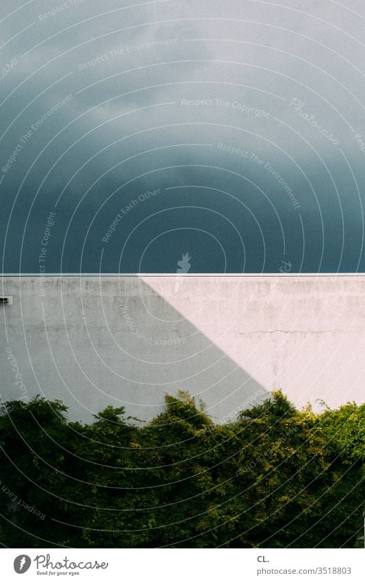 wall and clouds Clouds Sky Wall (building) conceit Wall (barrier) Sunlight Weather Ivy Light Shadow Contrast Exterior shot Deserted Colour photo Copy Space top