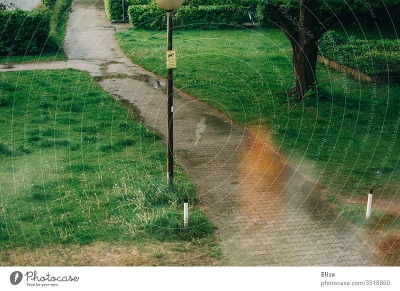 A path between green meadows with puddles of rain and lamppost off Meadow Housing area Rain Puddles Lantern Lamp post Wet lightleak tree Target Exterior shot