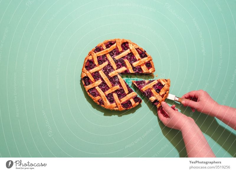 Blueberry cake top view. Woman taking a slice of pie. american food baked bakery bilberry blueberries blueberry pie canadian cuisine christmas comfort food