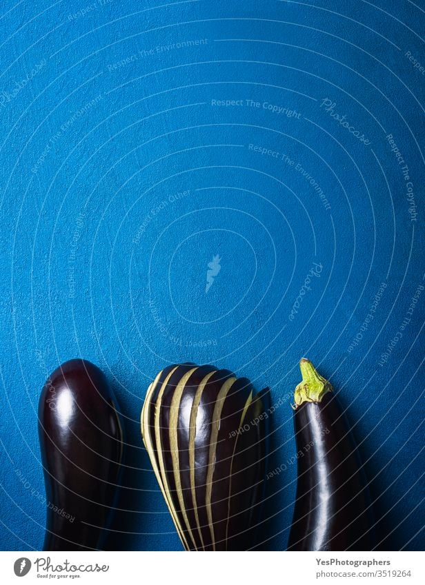 Organic eggplants on blue table. Aubergine harvest. Fresh vegetables 3 Solanum melongena above view agricultural agriculture aubergine autumn brinjal