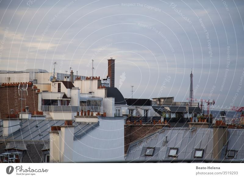 Above the roofs of Paris Fireplaces Overview eiffel tower Landmark France metropolis Skylight Roof balcony Eiffel Tower Tourist Attraction Architecture