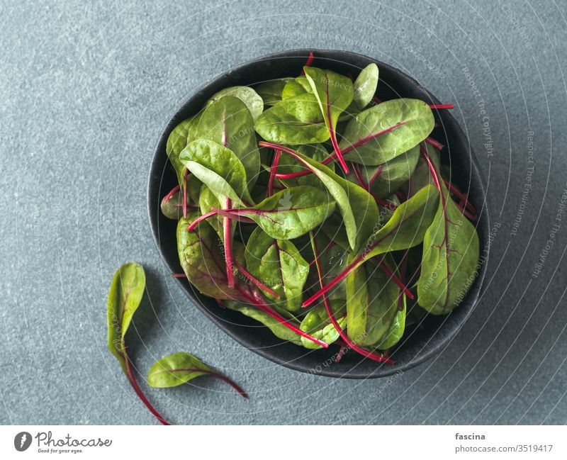 Fresh salad of green chard leaves or mangold beet salad leaves background top view food fresh organic plant vegetable leaf vegetarian swiss healthy red