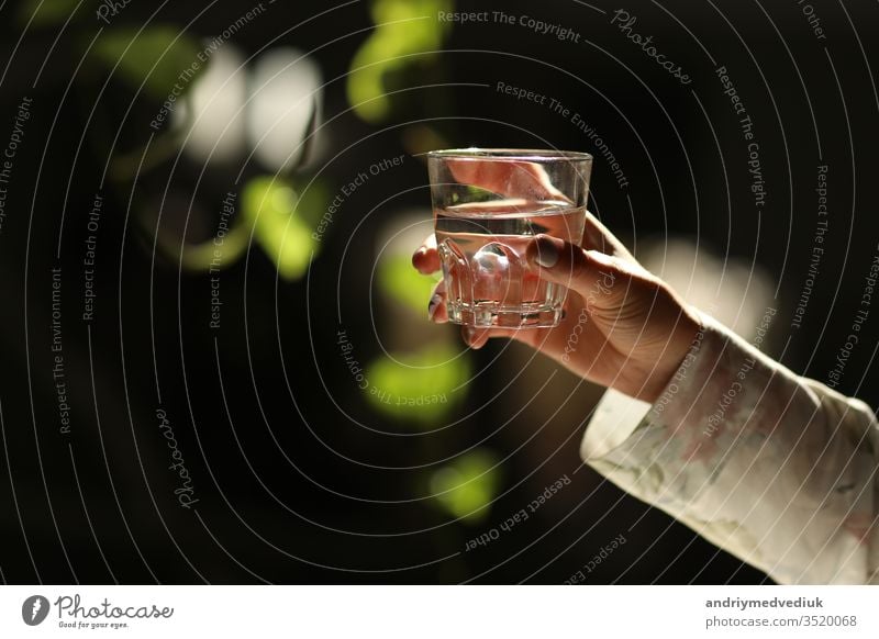 Woman hands isolated, holding a glass of water on a dark background with green leaves. the sun's rays fall on the glass. healthy morning drink natural life