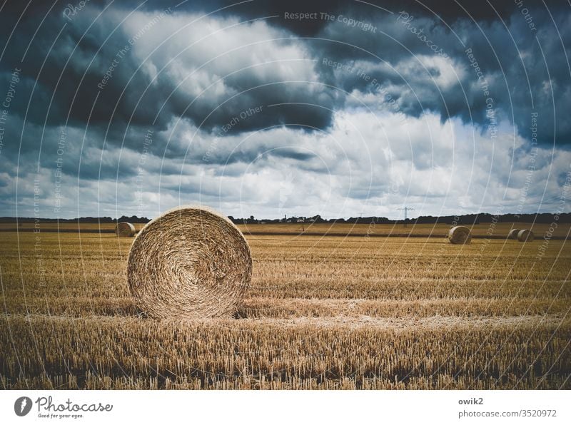 coiled Field Agriculture harvested Stubble field Bale of straw Coil Harvest Sky Clouds Dramatic Straw Landscape Grain Exterior shot Autumn Horizon Round