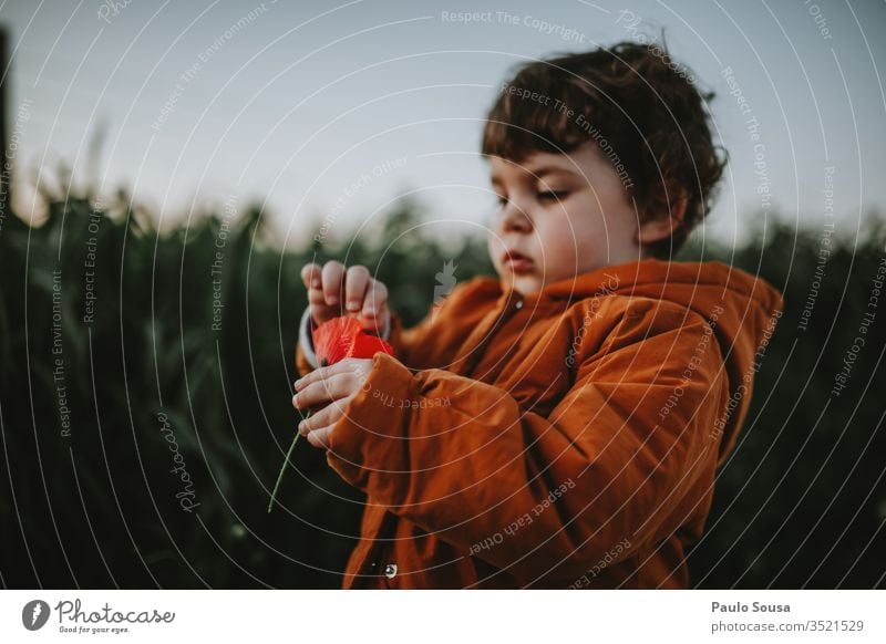 Little girl holding poppy flower Spring Spring fever Colour photo Nature Exterior shot Spring flower Flower Day Blossom Spring day Shallow depth of field