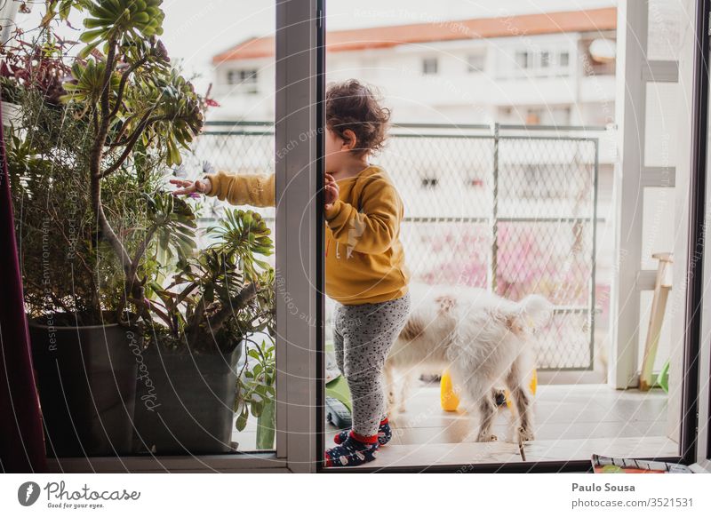 Child and dog on balcony confinement Quarantine Quarantine period sars covid-19 coronavirus Pet Dog Together togetherness Protection Balcony Balcony plant Home