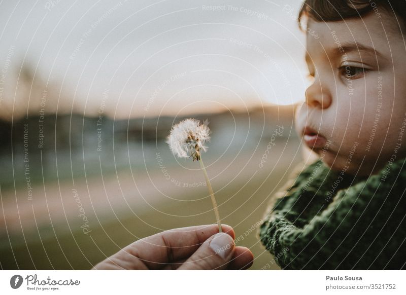 Child blowing dandelion Dandelion Caucasian Lifestyle Infancy Happy Exterior shot Happiness Nature Cute Joy kid Playing cheerful Portrait photograph Expression