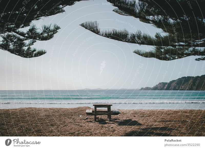 #As# Car&Breakfast Ocean ocean Beach Coast Vantage point Idyll Table Morning Breakfast table New Zealand New Zealand Landscape Nature Exterior shot Colour photo