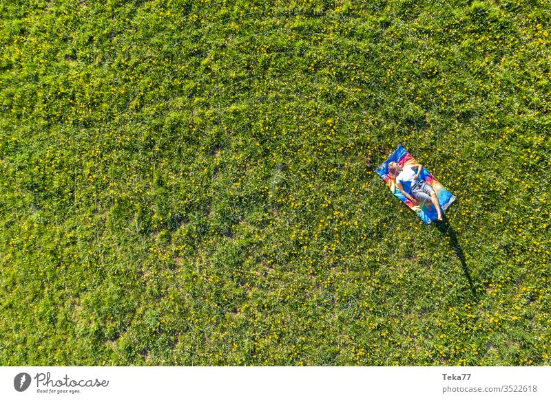 a woman chilling on a spring meadow from above woman from above woman relaxing relaxing on a meadow woman in spring woman sunbathing meadow background way air