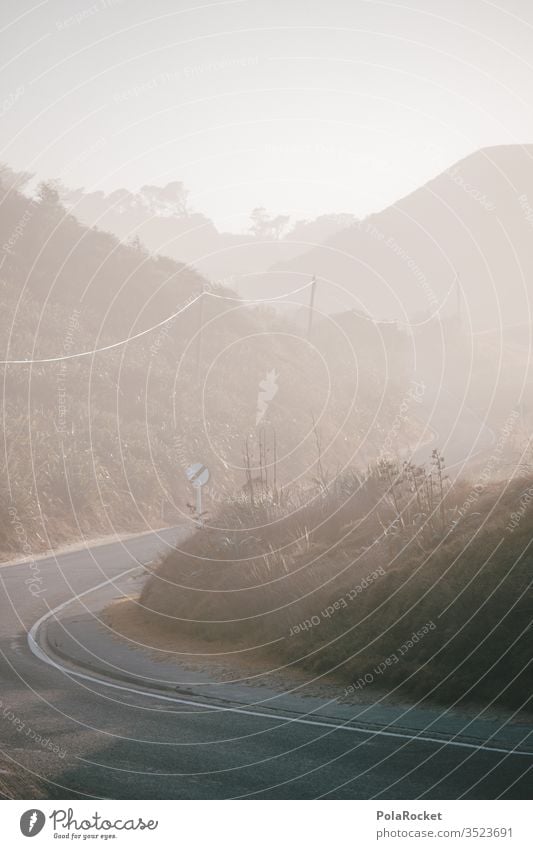 #As# coastal road Street Landscape Fog White crest Shroud of fog Misty atmosphere Deserted Exterior shot road trip Nature Colour photo