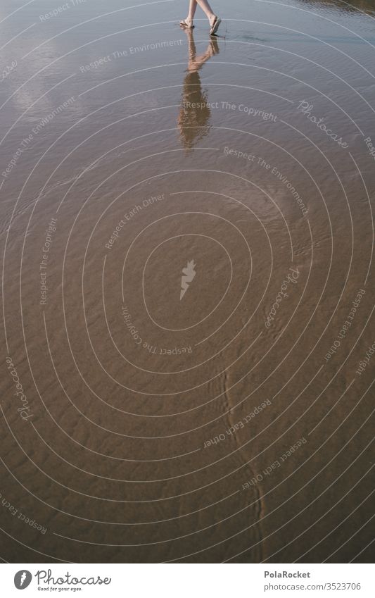 #As# walk on the beach Walk on the beach New Zealand New Zealand Landscape Reflection Human being Walking stroll