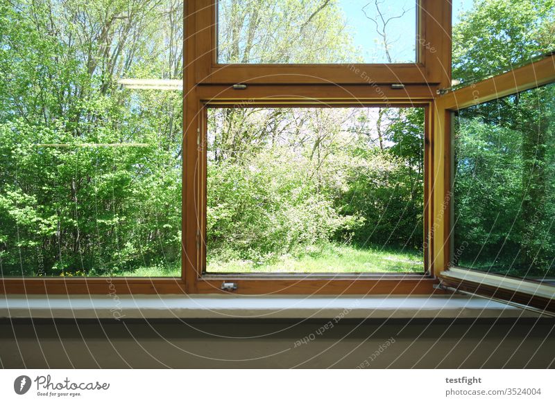 Open window Window Light Air fresh air Sun Warmth Ventilate Glass Garden Meadow Nature huts bushes outlook Wooden window open Sunlight good weather