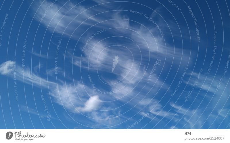 Cirrus clouds Sky Blue Steam White Clouds cirrus cloud cirrus clouds Feather Spring clouds Spring Cloud Air Exterior shots Beautiful weather Weather