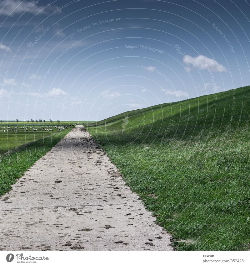 Open track Nature Landscape Grass Meadow Field Street Lanes & trails Fresh Perspective Target Direct Freedom Dike North Sea Hiking Sky Green To go for a walk