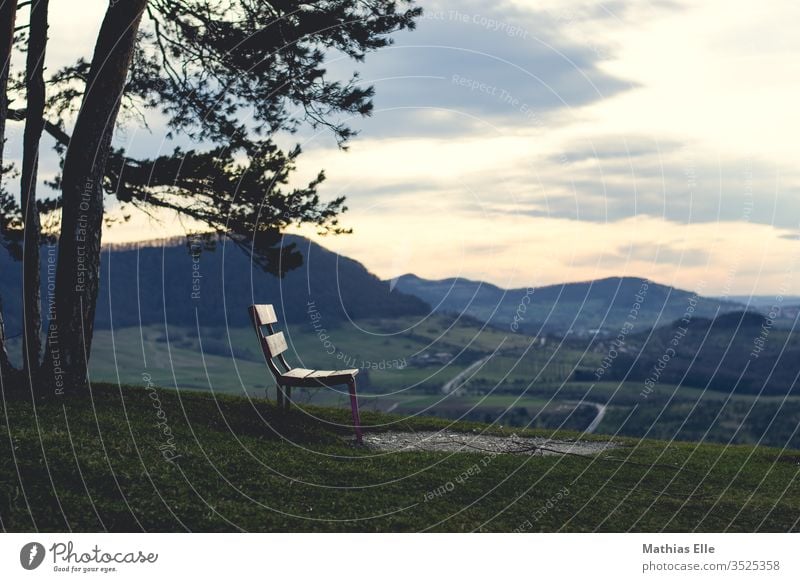 Bench for resting huts Wooden bench Grass green Calm Relaxation Vantage point Blue Blue sky Evening Sky Back-light Peace green grass flaked tree Lawn green lawn