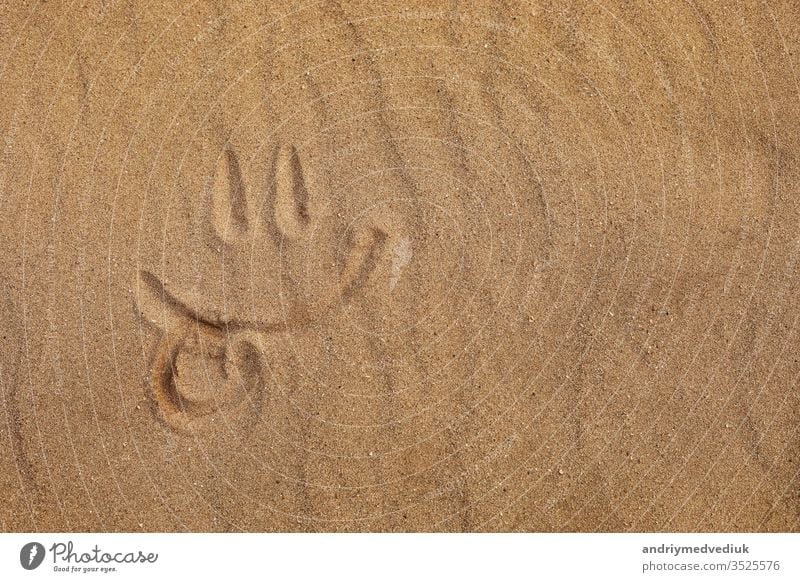 Smiley made by finger on sandy beach - tongue out. selective focus background texture symbol sunny summer smiley icon smiley face seashore travel holiday coast