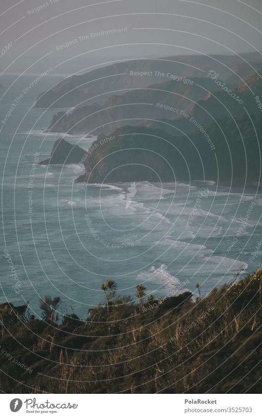 #As# Coast New Zealand piha steep coast Waves swell Ocean Nature Water Exterior shot Colour photo Landscape Beach Deserted Rock Vacation & Travel Environment