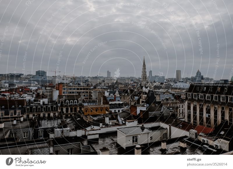 View of Brussels; Belgium Europe Vantage point Panorama (View) vantage point Town Downtown City centre & city centre Exterior shot Skyline Colour photo built