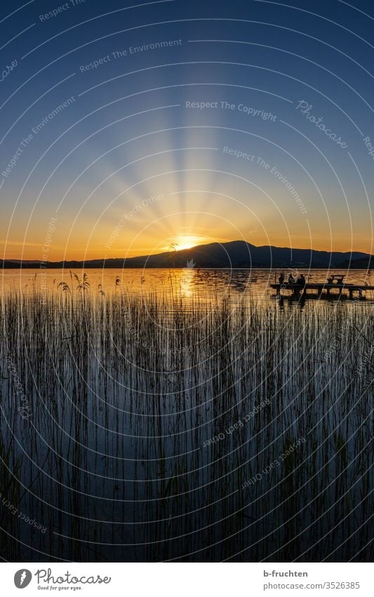 Sunset at Mondsee, Salzkammergut, Austria moon lake Vacation mood vacation Vacation & Travel Tourism Beautiful weather Mountain Summer Nature Colour photo