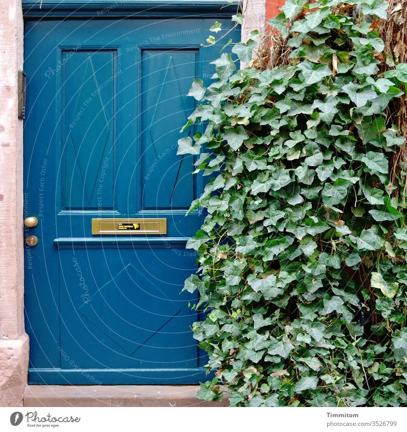 Neighbourhoods | Privacy dwell House (Residential Structure) front door Entrance Ivy Green Screening Deserted Old Blue Mailbox slot