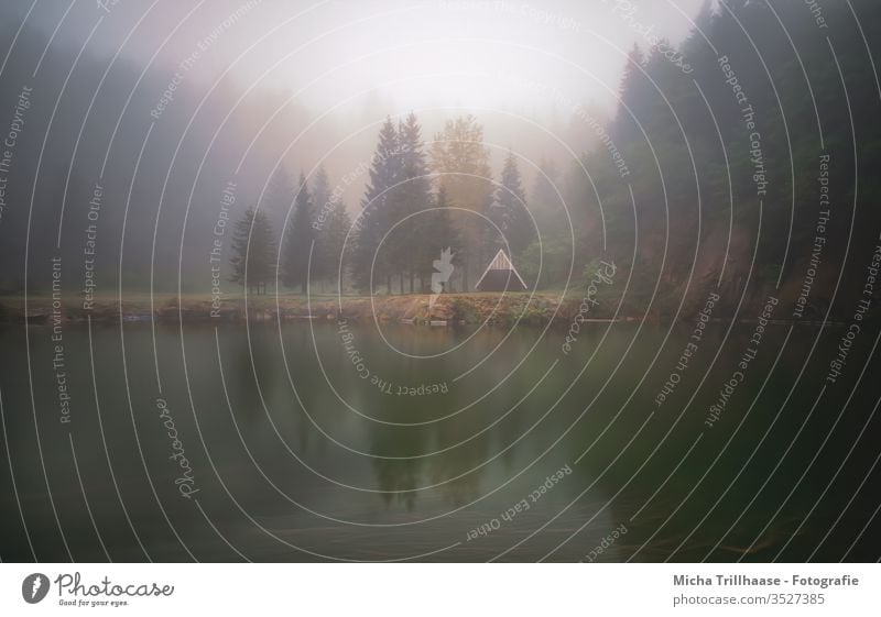 Wafts of mist over the mountain lake Mountain lake at the Ebertswiese Thuringia Thueringer Wald Fog wafts of mist Misty atmosphere Lake Water hut huts Forest