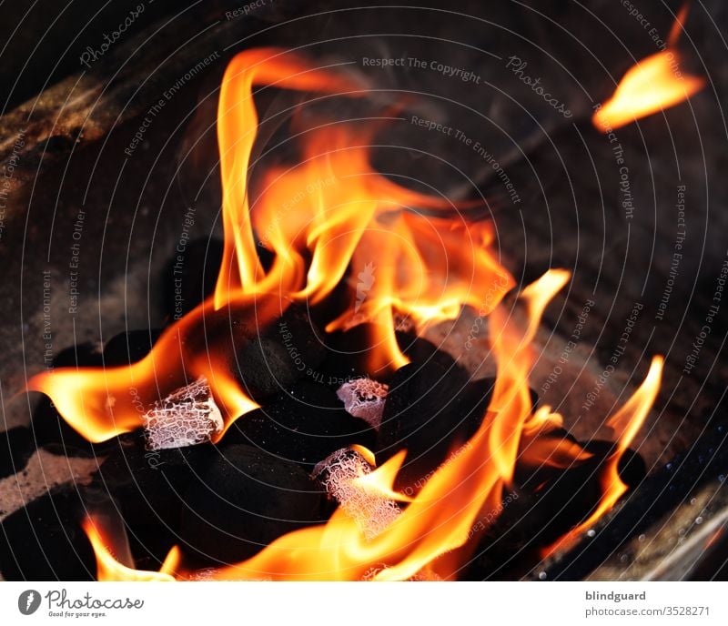 We'll burn! Cheer for the summer barbecue evening with barbecue lighters in simple charcoal. Fire Flame Hot barbecue. charcoal BBQ Coal fossil fuels