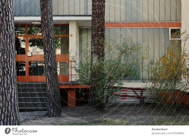 Facade and glass door of a house from the 60s behind pine trunks and bushes House (Residential Structure) Glass Stripe tribes Jawbone Modern 1960s Brick red