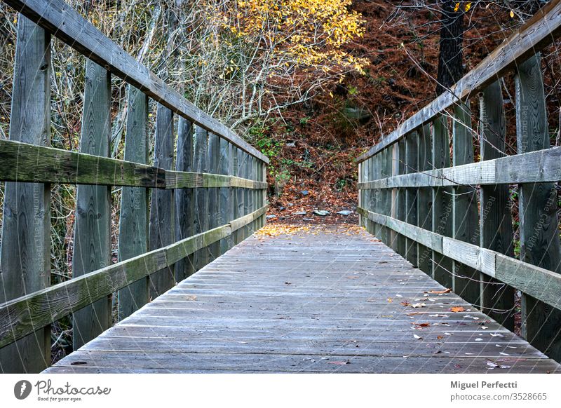 Puente de madera ,perspectiva de caminante landscape trees mountains mountains range autumn Sierra Nevada Granada colorful beautiful trekking path bridge river