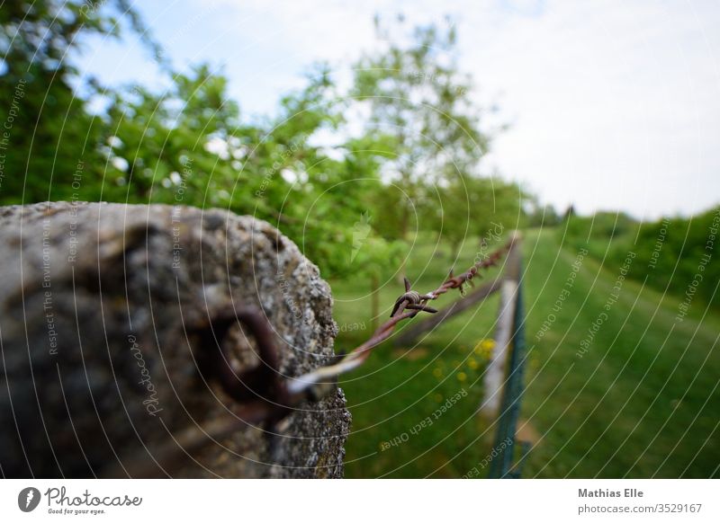 barbed wire Barbed wire threat Barbed wire fence Threat Metal Freedom Protection foreclosure Wire refugee Fence Barrier Dangerous Border Wound Exterior shot