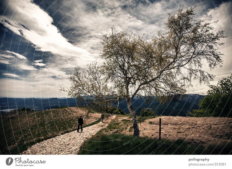 find your way Human being Masculine Young man Youth (Young adults) Man Adults Life 2 18 - 30 years Environment Nature Landscape Plant Earth Sand Sky Clouds