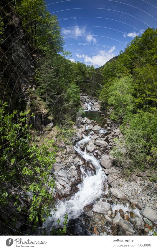 diverse nature 3 Environment Nature Landscape Plant Water Sky Clouds Summer Climate Beautiful weather Tree Flower Bushes Forest Rock River bank Brook Loneliness