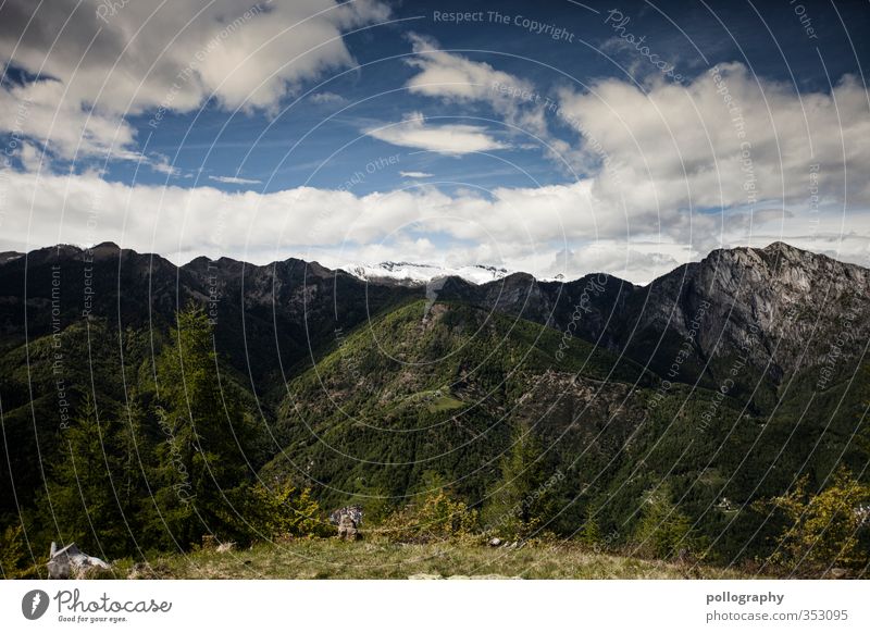 diverse nature 2 Environment Nature Landscape Plant Air Sky Clouds Summer Weather Beautiful weather Tree Flower Grass Meadow Forest Hill Rock Alps Mountain Peak