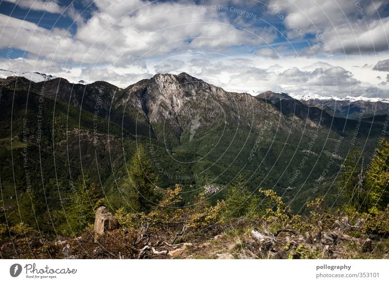 diverse nature Environment Nature Landscape Plant Earth Air Sky Clouds Summer Climate Beautiful weather Tree Grass Foliage plant Forest Hill Rock Alps Mountain