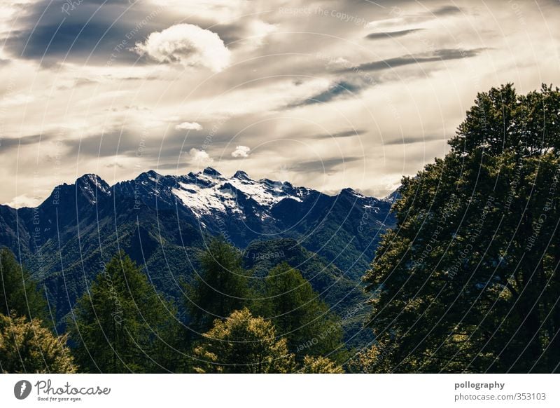 diverse nature 8 Environment Nature Landscape Plant Sky Clouds Summer Bad weather Tree Forest Hill Rock Alps Mountain Peak Snowcapped peak Canyon Loneliness