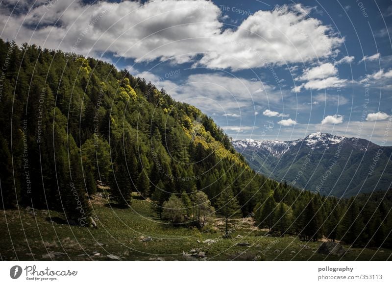 mother nature Environment Nature Landscape Plant Sky Clouds Sunlight Summer Weather Beautiful weather Tree Meadow Forest Hill Rock Alps Mountain Peak