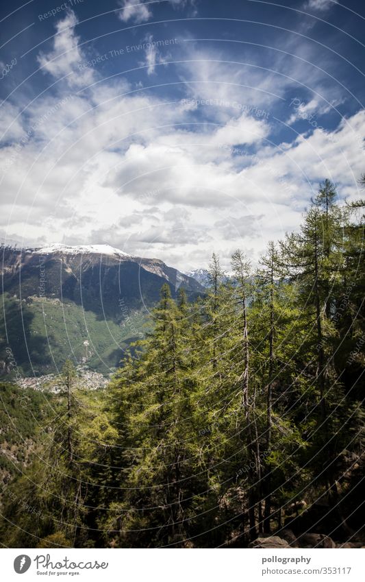 diverse nature 5 Environment Nature Landscape Plant Air Sky Clouds Summer Beautiful weather Tree Meadow Hill Rock Alps Mountain Peak Adventure Loneliness