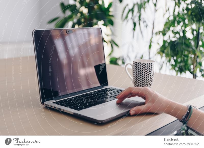 Woman hands, work from home working computer laptop office woman desk using young business female internet coffee mug cup technology person plants window