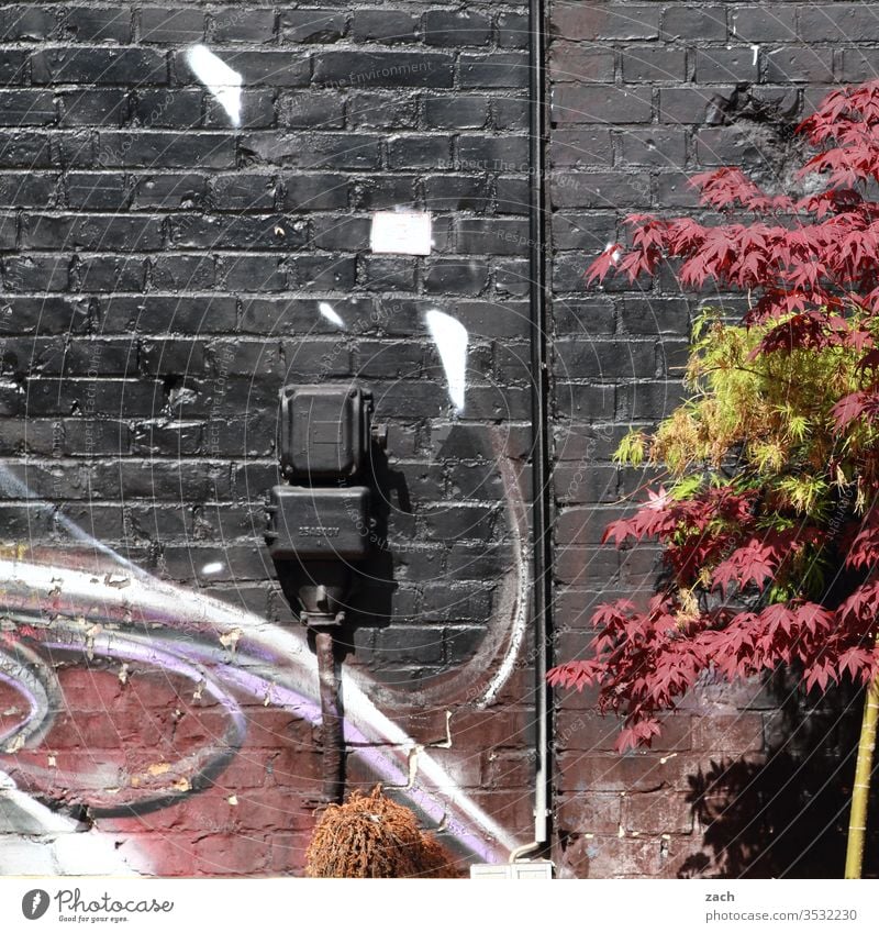 Facade in the colours black and red Wall (building) Red Black Wall (barrier) built House (Residential Structure) Brick Old Ruin power box stream