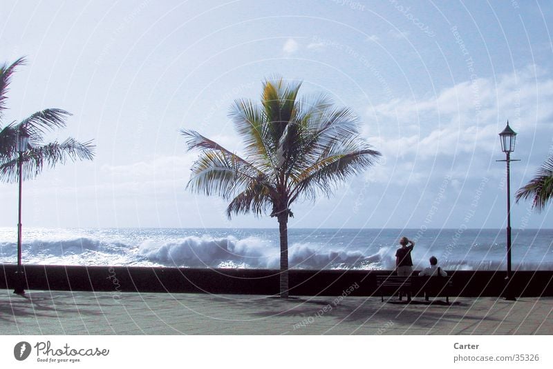 surf Palm tree Ocean Beach Surf Summer Waves Far-off places Human being seafront promenade Bench Couple Sky